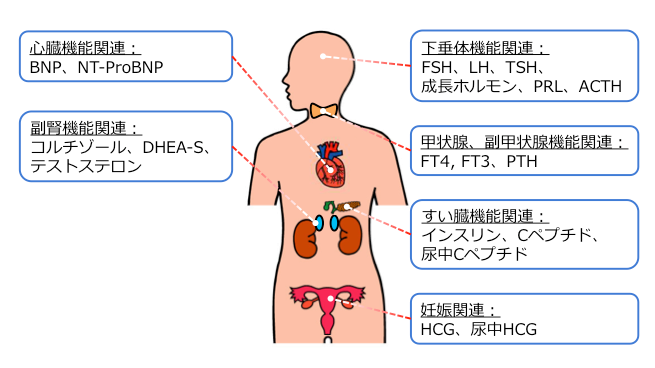 生化学・免疫検査 | 南和広域医療企業団